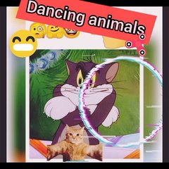 funny kids video laughing youtube videoviral  YouTube bachaiz come#shorts