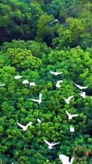 Beautiful views with Quran Ayet translate must watch it