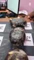 DRI Arrested 4 Smugglers Seized Whale Ambergris Worth 31 Crore