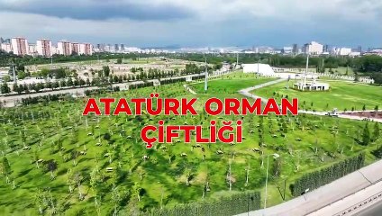 Mansur Yavaş: Ata Mirasımız Atatürk Orman Çiftliği’ni sizler için hazırlıyoruz