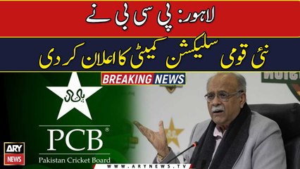 PCB names new selection committee