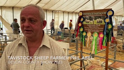 Tavistock sheep farmer, Phil Abel, wins big at Devon County Show 2023