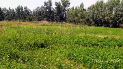 Farman e Hazrat Ali R.A Aqwal e Zareen Heart Touching Beautiful Voice Irshadat