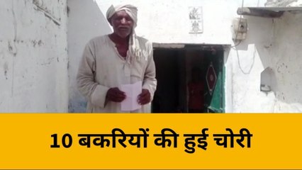 Tải video: महोबा: घर से 10 बकरियां चोरी, अज्ञात चोरों को पकड़ने में जुटी पुलिस