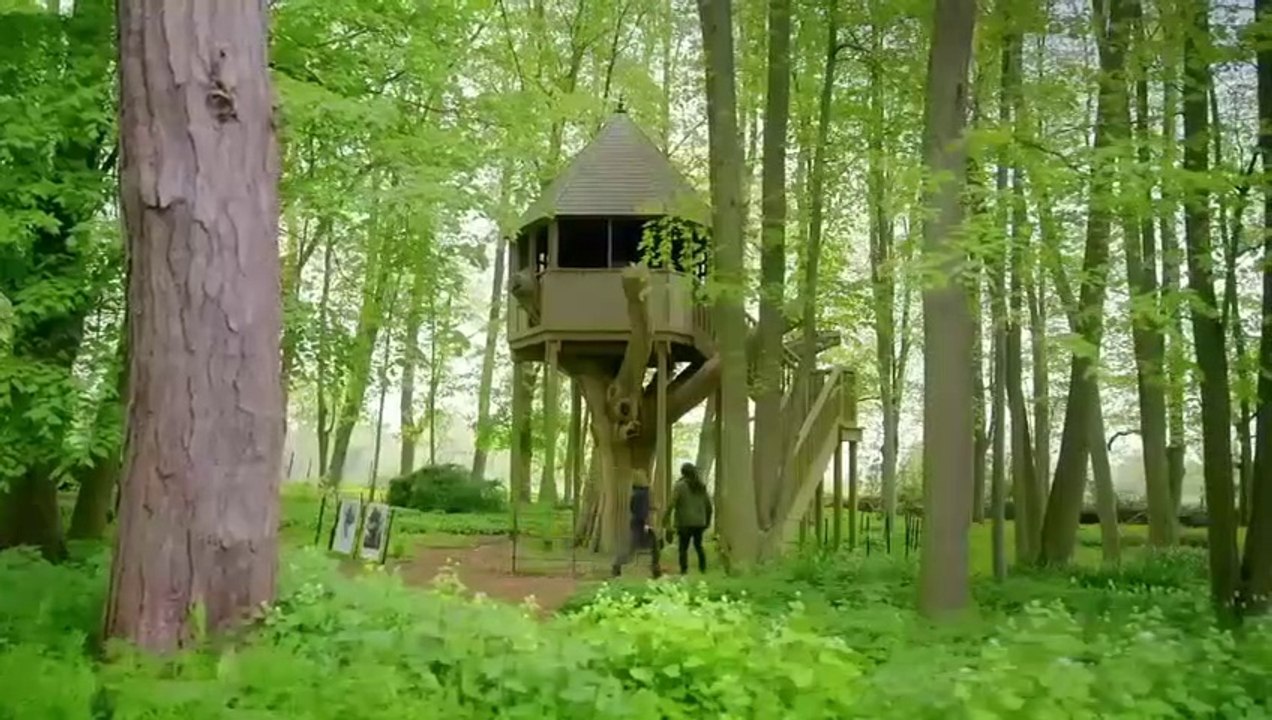 Love Your Garden S13 Ep 7 - S13E07