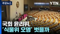 윤리위, '식물위 오명' 벗을까?...'김남국 징계' 주목 / YTN