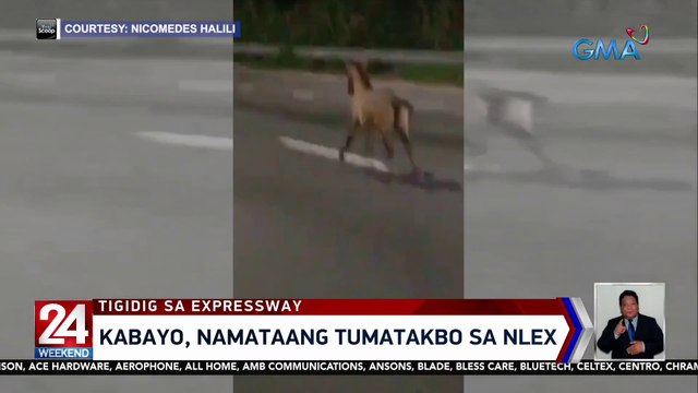 Kabayo, namataang tumatakbo sa NLEX | 24 Oras Weekend