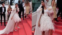 Cannes Red Carpet 2023: Sapna Chaudhary Cannes 2nd Day Pink Frock Head Cover Look Viral | Boldsky