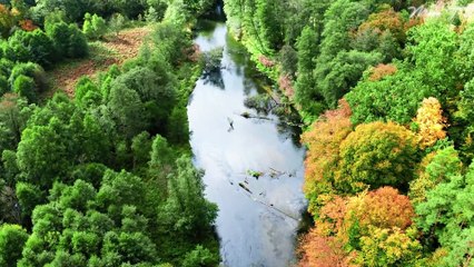 Stress Relief Music for Anxiety and Relaxation - Soothing Ambient Music