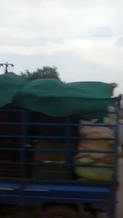 देखे वीडियो : टाटीबंध चौक पर ओवरब्रिज का निर्माण