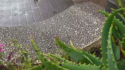 Eruzione Etna cenere su auto ad Adrano