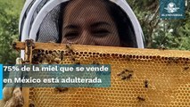 La batalla de apicultores contra la miel adulterada