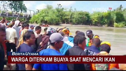 Naas! Warga di Sulbar Tewas Diterkam Buaya Saat Mencari Ikan di Muara Sungai Sulu