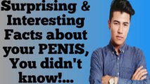 Learn Some Surprising & Interesting Facts about your PENIS, You didn't know!