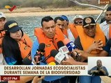Sucre | Liberan 500 caballitos de mar para repoblar manglar en el Parque Nacional Mochima