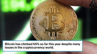 Bitcoin has climbed 65% this year despite crypto woes. Experts explain why