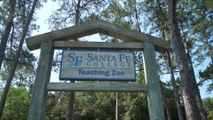 Full Tour of the Santa Fe Teaching Zoo (Gainesville, FL) - 4k Travel VLOG & Review