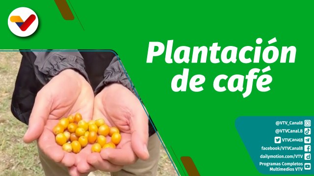 Cultivando Patria | Producción de café de alto nivel en la Hacienda Las Planadas de Bucare