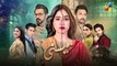 Meesni Episode 91 - ( Bilal Qureshi, Mamia, Faiza Gilani ) 21st May 2023 - HUM TV
