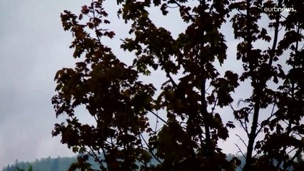 Lezuhant egy kisrepülőgép Horvátországban