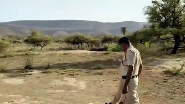 सरिस्का बाघ परियोजना में वन्यजीवों की गणना शुरू