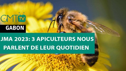 [#Reportage] JMA 2023: 3 apiculteurs nous parlent de leur quotidien