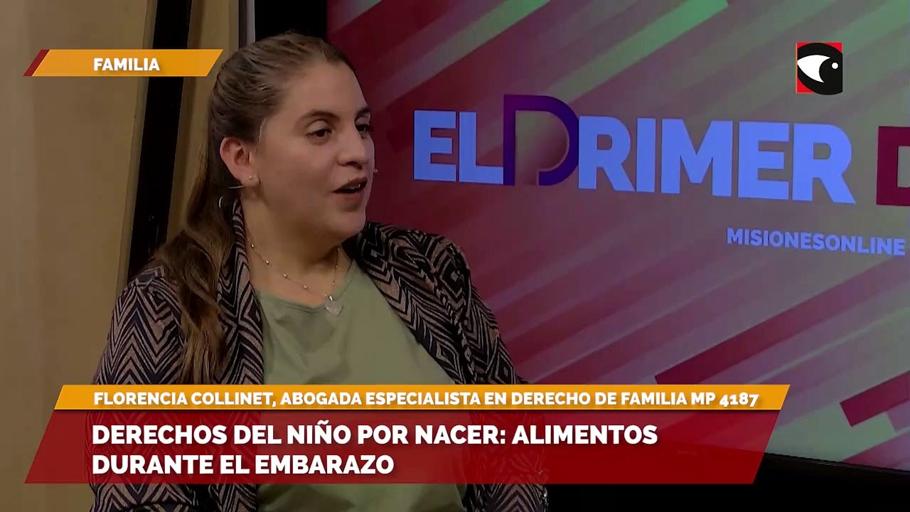Derechos del niño por nacer: Alimentos durante el embarazo
