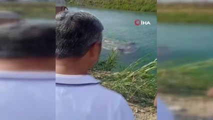 Sulama kanalına düşen otomobilden 3 erkek cesedi çıktı