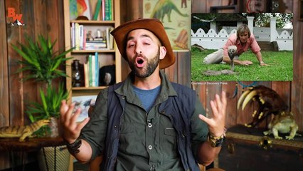 It All Began with a Snapping Turtle!