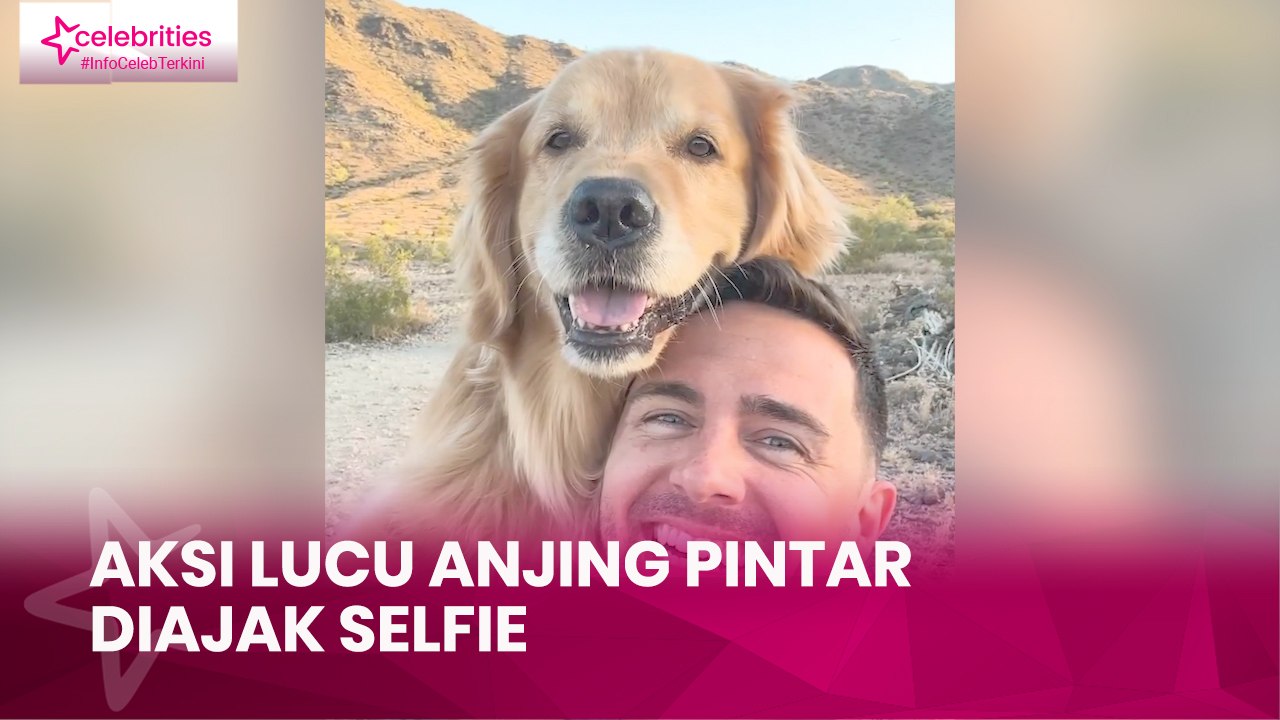 Aksi Lucu Anjing Pintar Diajak Selfie