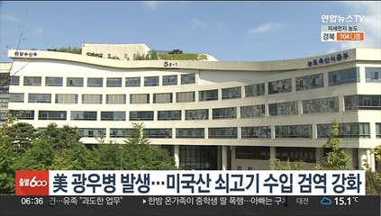 美 광우병 발생…미국산 쇠고기 수입 검역 강화