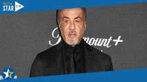 « Il se prend pour Rambo » : le comportement inattendu de Sylvester Stallone face aux petits amis de