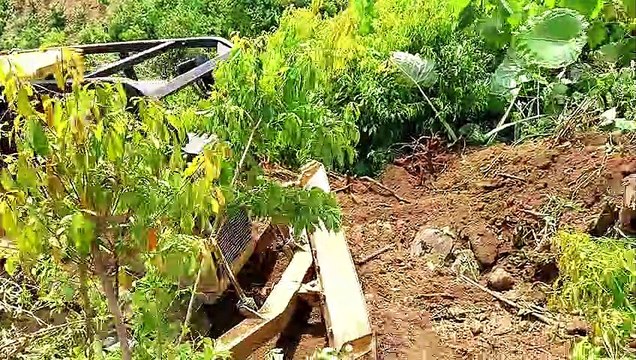 Failed to Make Terraces in D6R XL Bulldozer Palm Plantations