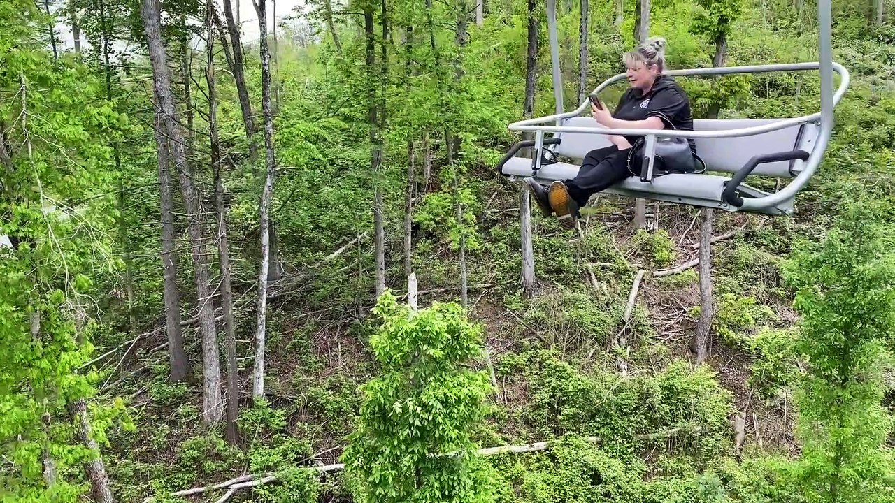 Smoky Mountain Bears Love To Play
