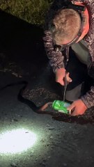 Man Saves Snake Stuck in Can