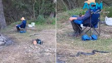 Deadly snake threatens dad's downtime and beer