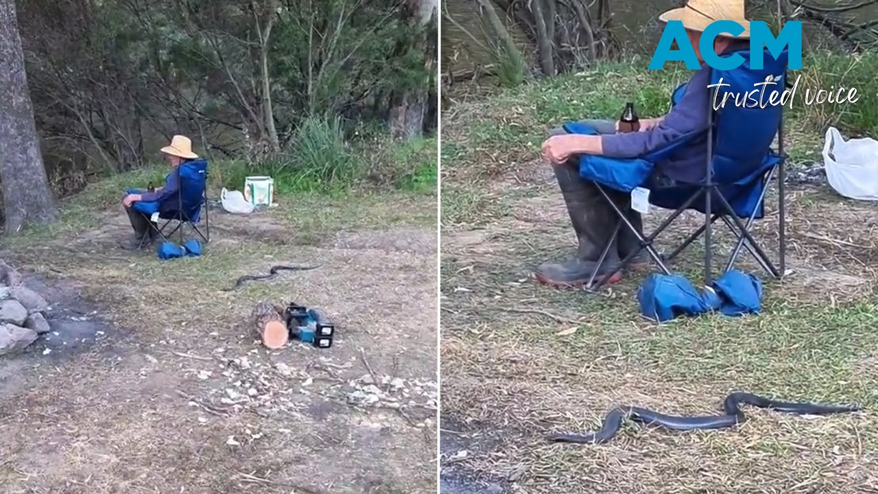 Deadly snake threatens dad's downtime and beer