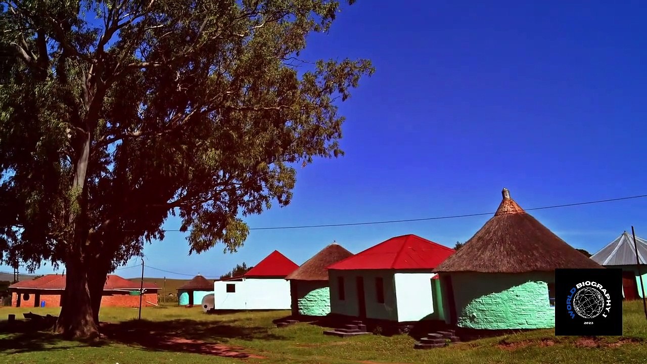 Nelson Mandela: Ending Apartheid |World Biography