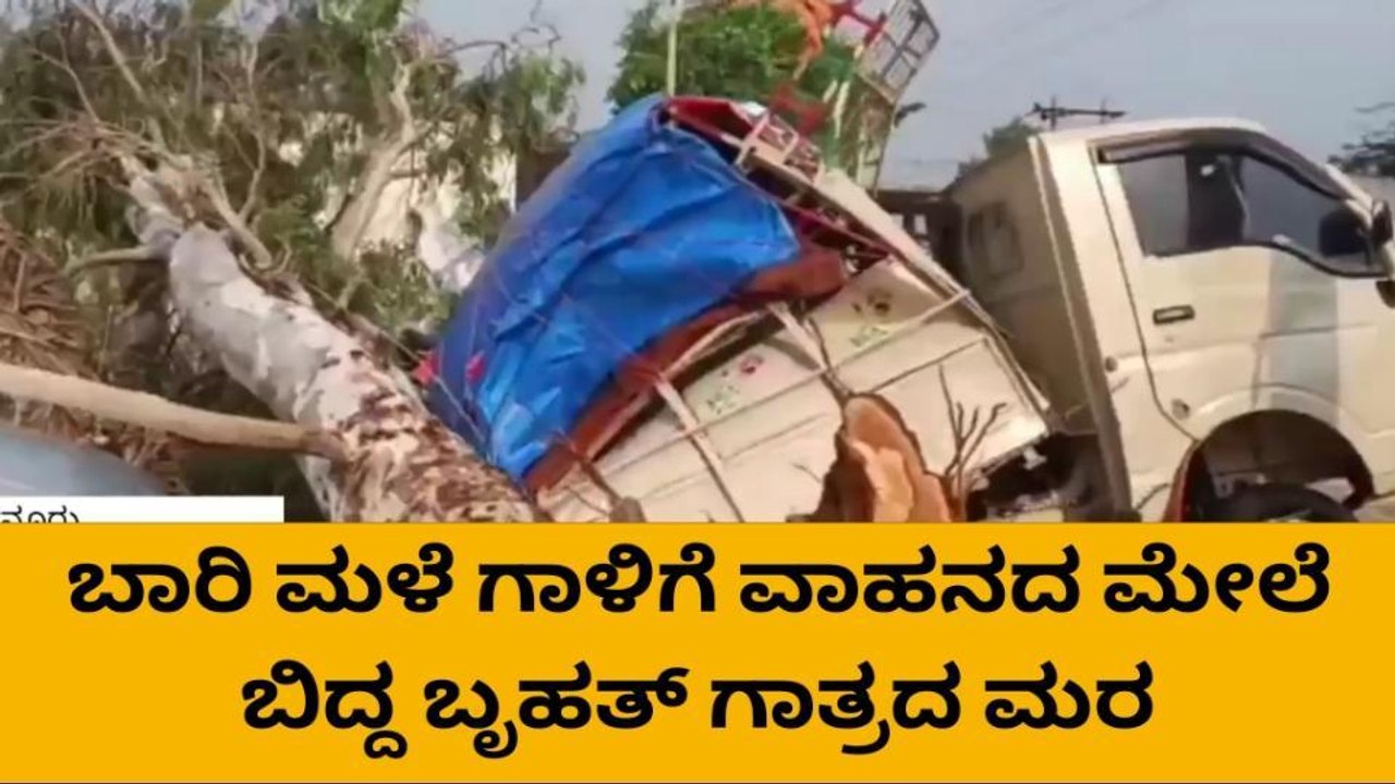 ಯಲಬುರ್ಗಾ: ಉರುಳಿಬಿದ್ದ ಭಾರೀ ಗಾತ್ರದ ಮರ- ಟಂಟಂ ಅಪ್ಪಚ್ಚಿ