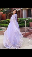 Beautiful lehenga design