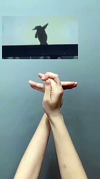 How to make Shadow Puppet with Your Hands
