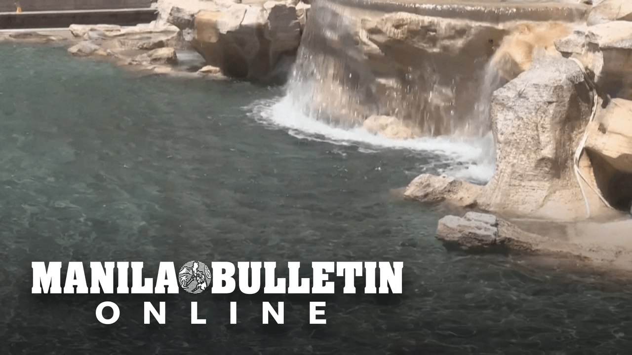 Climate activists turn Rome's Trevi Fountain black