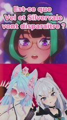 Veibae et Silvervale ont quitté l'agence de vtubers VShojo, ca fait quoi ?