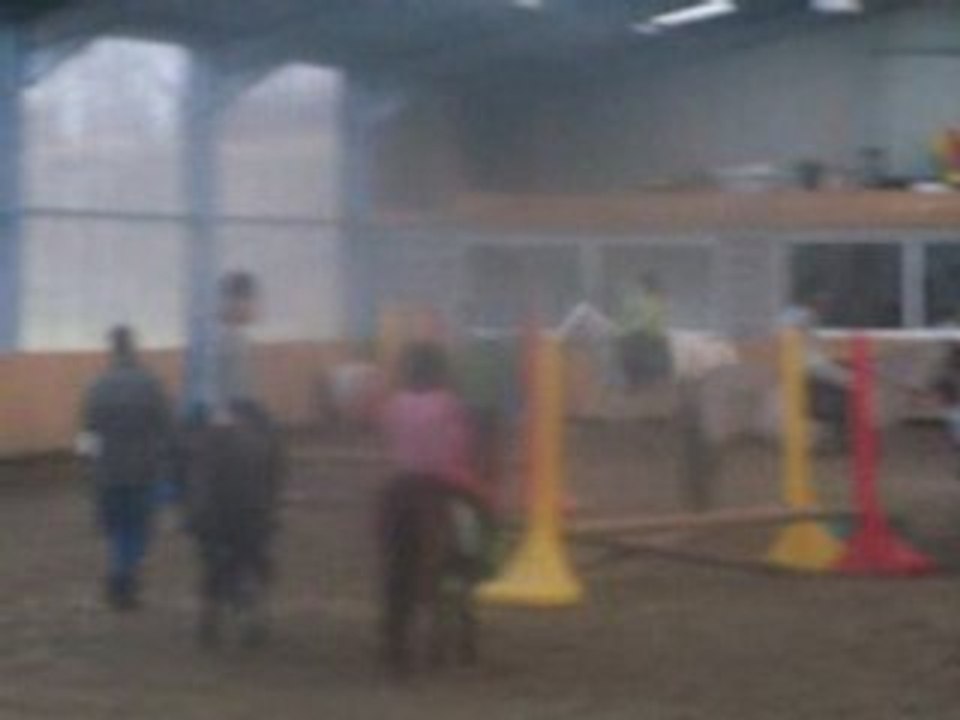 moi et fulmar a lobstacle