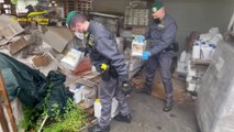 Sequestrate nel Napoletano 30 tonnellate di prodotti fitosanitari