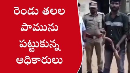 ములుగు: రెండు తలల పామును పట్టుకున్న అధికారులు