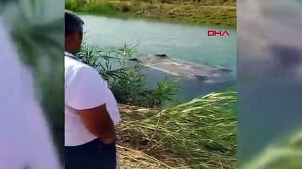 Minibüs sılama kanalına düştü! 3 ölü