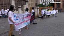 Activistas científicos se encadenan a la Giralda para protestar contra la ley de regadíos en Doñana