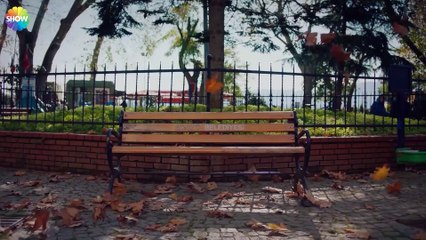 La Receta De Este Dolor - Gritos de Amor