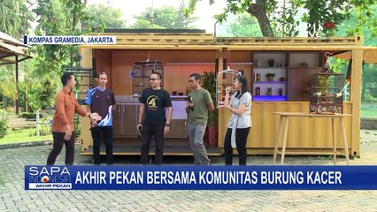 Intip Fun Fact Burung Kacer Bersama Perhimpunan Pecinta Hitam Putih!